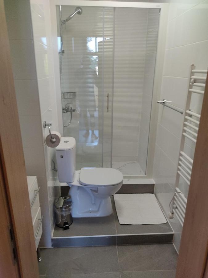 Bukovsek Apartment